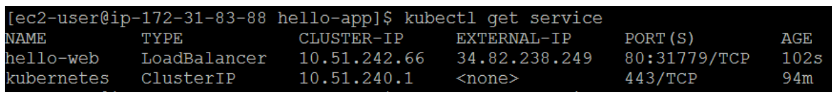 Expose your application to the internet 2