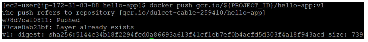 Upload container image 2
